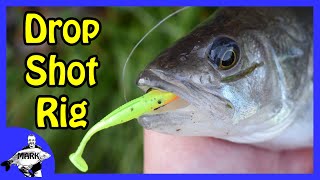 How To Tie a Drop Shot Rig for Perch [upl. by Eidur]