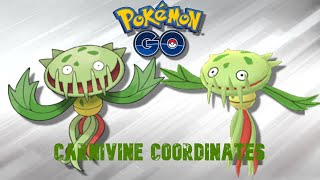 CARNIVINE COORDINATES  POKEMON GO [upl. by Kassel]