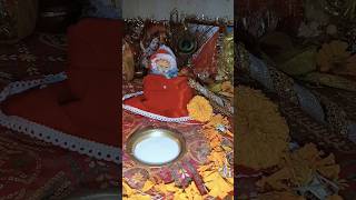 Laddu Gopal 🙏🏻🌸minivlog viewsviralvideosubscribersgrow [upl. by Ianteen]