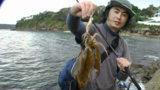 Squid fishing from shore and colours explained [upl. by Idoc]