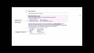 Google Adwords Sitelinks Extension Tutorial [upl. by Barbaraanne277]