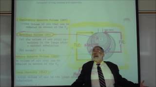 RESPIRATORY PHYSIOLOGY SPIROMETRY MEASUREMENT OF LUNG VOLUMES by Professor Fink [upl. by Atila]