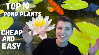 TOP 10 Pond Plants YOU NEED TO HAVE [upl. by Xenia]