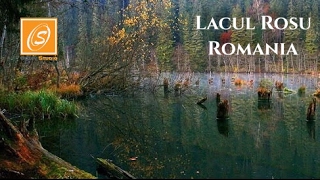 Lacul Rosu Bicaz Romania [upl. by Anatole477]