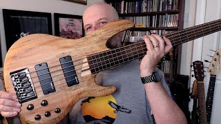 ESP LTD B205SM FL Five String Fretless Bass Guitar Review  Alan Harwood Collection 26 [upl. by Attenod111]