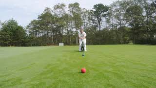 2020 Croquet Swing Coach Pro Video Demonstration [upl. by Ira]