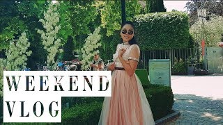 Mongolian Students in Vienna  VLOG 31  AUSTRIAD HERHEN SURAH WE [upl. by Nofpets]