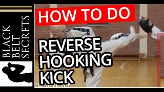 Reverse Hook Kick Spinning Kick [upl. by Bernj]