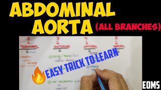 All Branches of Abdominal Aorta Easy Trick  Abdominal Aorta  MBBS [upl. by Sitrik]