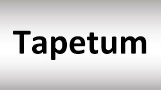 How to Pronounce Tapetum [upl. by Ryun]