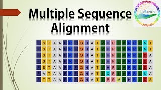 Multiple Sequence Alignment [upl. by Ynos]