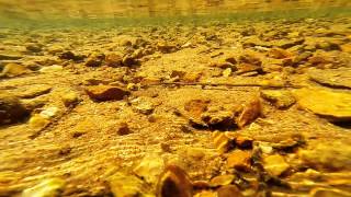 WadeFishing the Upper Meramec River for Smallmouth  St James MO [upl. by Etsyrk]