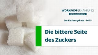 KOHLENHYDRATE 56 Dr Lustig und die bittere Wahrheit über Zucker  Workshop Ernährung [upl. by Elinet319]