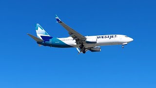 WestJet in the Air [upl. by Raffin]