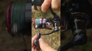 Daiwa BG MQ 2500DH Unboxing [upl. by Xet]