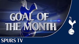 Spurs TV Exclusive  February 2014 Goal of the Month competition [upl. by Hein]