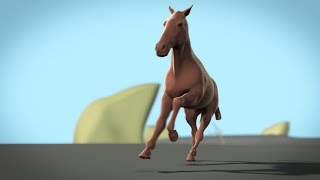 Horse Gaits 3D animation study [upl. by Mitzi]