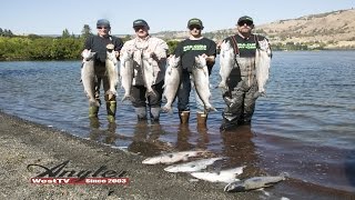 Klickitat River amp Columbia River Hover Salmon Fishing [upl. by Yong51]