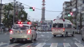 《東京消防庁》偶然？救急車と輸血さんの緊走数珠つなぎ [upl. by Bonnee621]