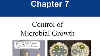 Chapter 9 Control of Microbial Growth [upl. by Gerius847]