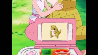 Sandshrew Pokédex Entry  Sandshrews Locker [upl. by Arykahs]