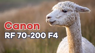 Canon RF 70200 f4 Landscape Photography Review [upl. by Trahern]