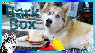 HUSKIES BACK TO SCHOOL BarkBox UnBoxing [upl. by Amelie]