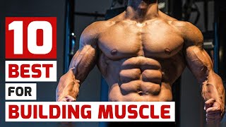 Top Trainers Agree These Are the 10 Best MuscleBuilding Exercises [upl. by Farrow413]