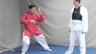 Tai Chi SelfDefense  Chen Laojia Yilu quotSix Sealings Four Closingsquot [upl. by Ahsatsan383]