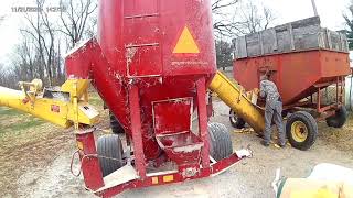 Grinding cattle feed from ear corn with the International 1486 and New Holland 354 [upl. by Adnerad204]