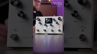 Three Sounds Meris LVX Modular Delay [upl. by Lorolla]