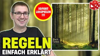 Black Forest  Spielregeln leicht und verständlich erklärt Sofort los spielen [upl. by Kristopher801]