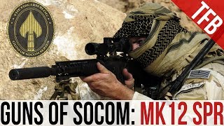 Guns of SOCOM The Mk12 Special Purpose Rifle [upl. by Yona436]