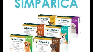 Simparica – A Flea And Tick Preventive Treatment for Dogs [upl. by Fischer245]