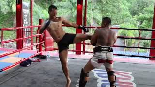 Superbon Banchamek Crisp Technique Muay Thai Pad Work Training Highlight 1 [upl. by Elawalo]