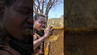 Its breakfast time See how Hadza cooks their favorite meal today 😋😍‼️hadzabetribe food [upl. by Airtemed]