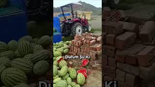 Karpuzlardan Oluşan Bir Dağ 🍉 ⛰️ [upl. by Assek721]