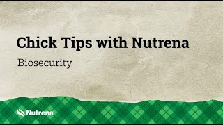 Chick Tips with Nutrena Biosecurity in the Coop [upl. by Sitrik]