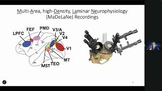 2024 TSC PLENARY 4  CORTICAL OSCILLATIONS WAVES amp CONSCIOUSNESS 2 [upl. by Hurlbut]