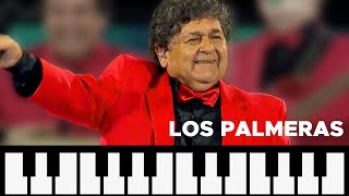 Como tocar PERRA 🌴 Los Palmeras 🌴 MELODICA 🎹 NOTAS [upl. by Aciretahs]