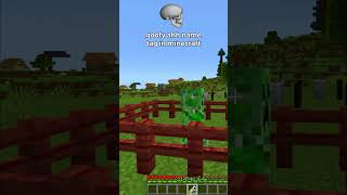 goofy ahh name tag in minecraft 🏷️💀 [upl. by Boggers864]