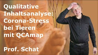 Qualitative Inhaltsanalyse Corona Stress bei Tieren [upl. by Odel]