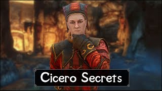 Skyrim Top 5 Cicero Secrets You Probably Never Knew in The Elder Scrolls 5 Skyrim [upl. by Concettina887]