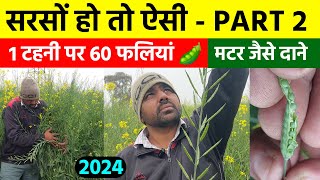 सरसों हो तो ऐसी 👌 1 टहनी पर 60 फलियां  मटर जैसे दाने  बढ़िया फैलाव  Sarso Ki Kheti 2024 [upl. by Hcire]