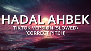 Hadal Ahbek TikTok Version Slowed CORRECTED PITCH  Issam Alnajjar [upl. by Hukill746]