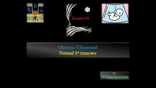 Obstetric Ultrasound Lecture 01 Normal 1st Trimester [upl. by Rudie117]