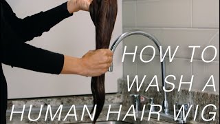 How To Wash A Human Hair Wig  WIgs 101 [upl. by Bourke]