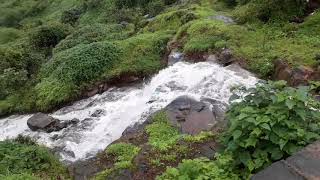 Adventure tour to Origin of Godavari River Brahmagiri Mountain Trimbak Nashik Maharastra [upl. by Zuliram278]