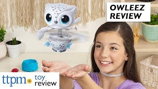 Owleez Flying Radio Control Owl Review from Spin Master [upl. by Eckhardt]