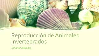 Reproducción de animales invertebrados [upl. by Arreyt994]